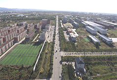 綠化養(yǎng)護服務(wù)